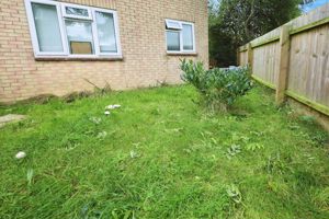 Garden - click for photo gallery